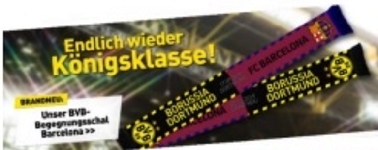 bild_bvb